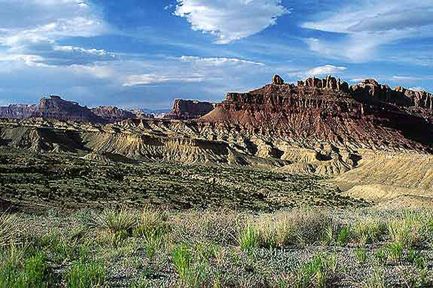 Desert Landscape