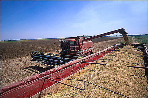 Harvest on an Arkansas farm