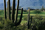 Cochise Golf Course Desert Mountain