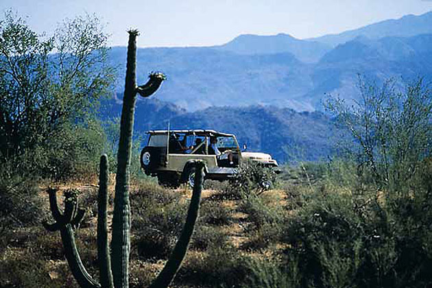 McDowell Mountain Foothills