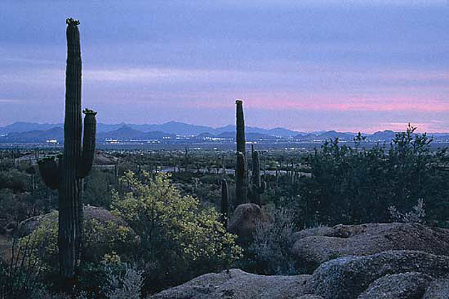 Scottsdale at Twilight