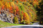Fall Color Images