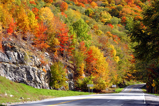 Fall Color Images