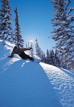 Snowboarder on Hill