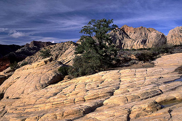 Snow Canyon