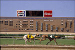 Southland Greyhound Park
