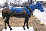 Starry Night Quarter Horse