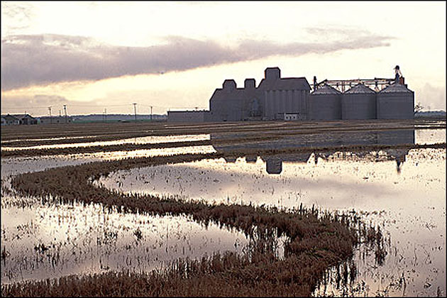 The Rice Capital of the World