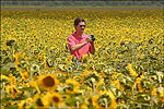 Summer in The Natural State