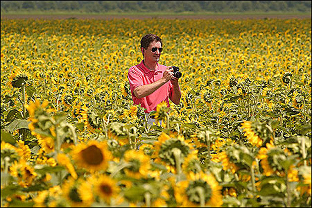 Summer in The Natural State