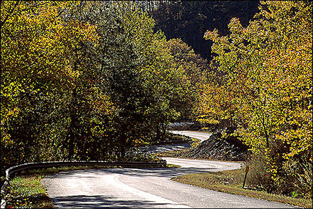Talimena Scenic Drive near Mena