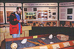 Toltec Mounds Archeological State Park 
