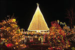 Holiday Lights, Ft. Smith