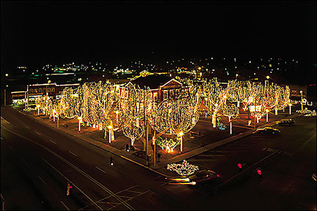 Holiday Lights, Harrison