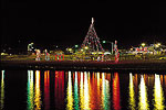 Holiday Lights, Harrison