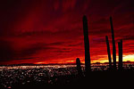 Tucson at Sunset