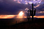 Tucson at Dusk