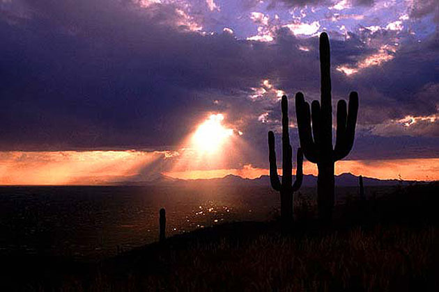 Tucson at Dusk