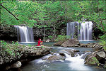 Twin Falls in the Ozark National Forest