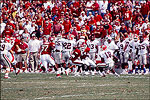 Reynolds Razorback Stadium