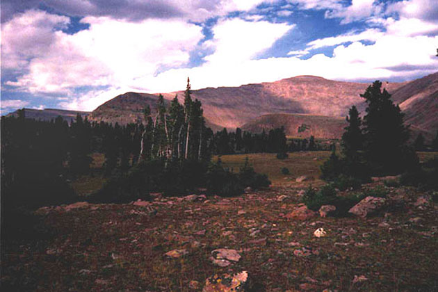 High Uinta Wilderness