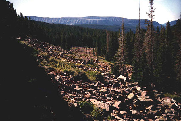 Boulder Field