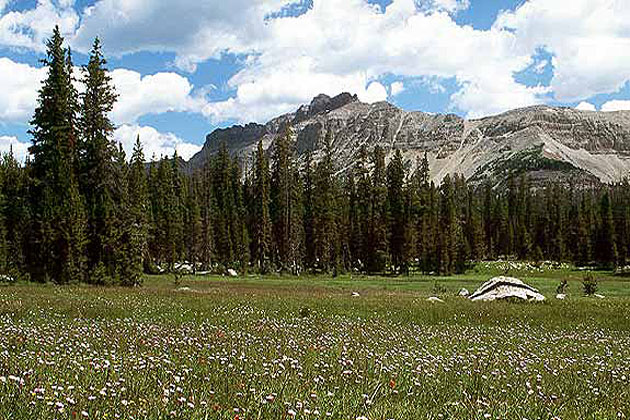 Uinta Mountains