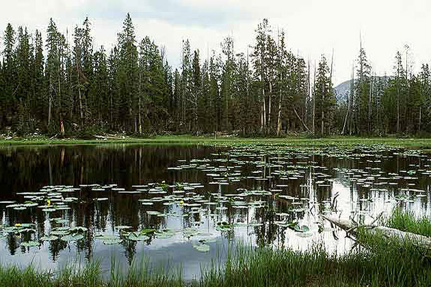 Uinta Mountains