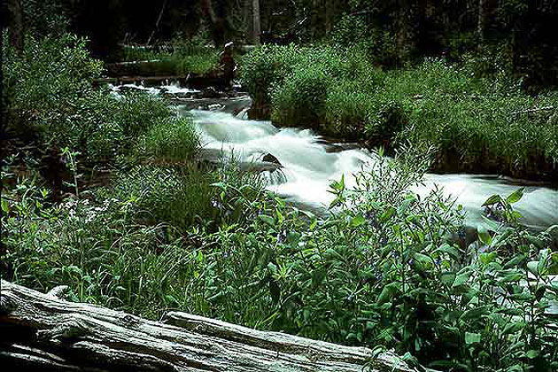 Spirit Lake Scenic Drive