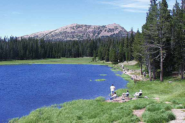 Lily Lake