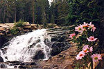 Provo River Falls