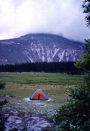 Camping in the Wilderness