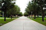 University of Texas -Pan American