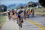 Bicycling in The Natural State