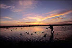 Duck Hunting on the Grand Prairie