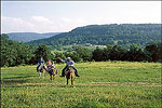 Horseback Riding in the Ozarks