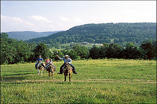 Horseback Riding in the Ozarks