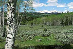 Eastern Uinta Mountains