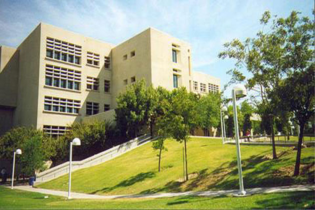 Walter Stern Library