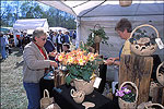 War Eagle Arts and Crafts Fair
