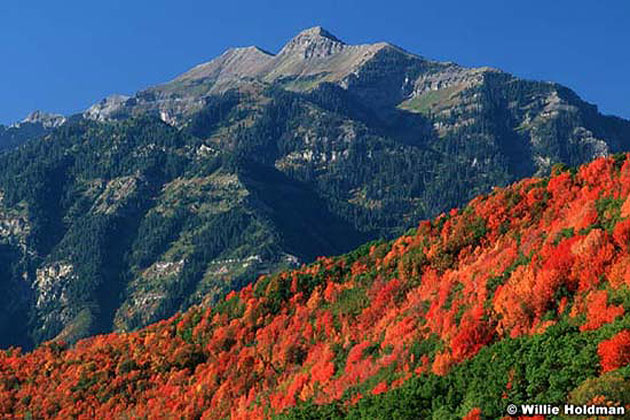 Cascade Mountain