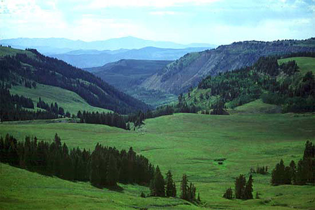 Green Meadows