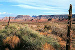 Zion - Mt. Carmel Scenic Drive