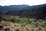 Kolob Terrace Road