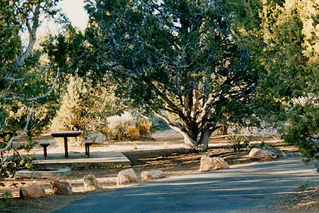 Watchman Campground