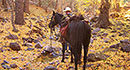 Foothills Ranch